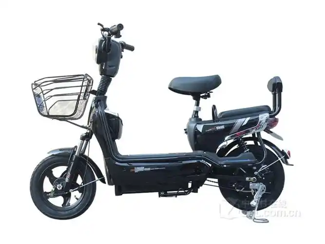 【高清图】 麦威(mw)骏马(48v20a/铅酸)官方图 图4