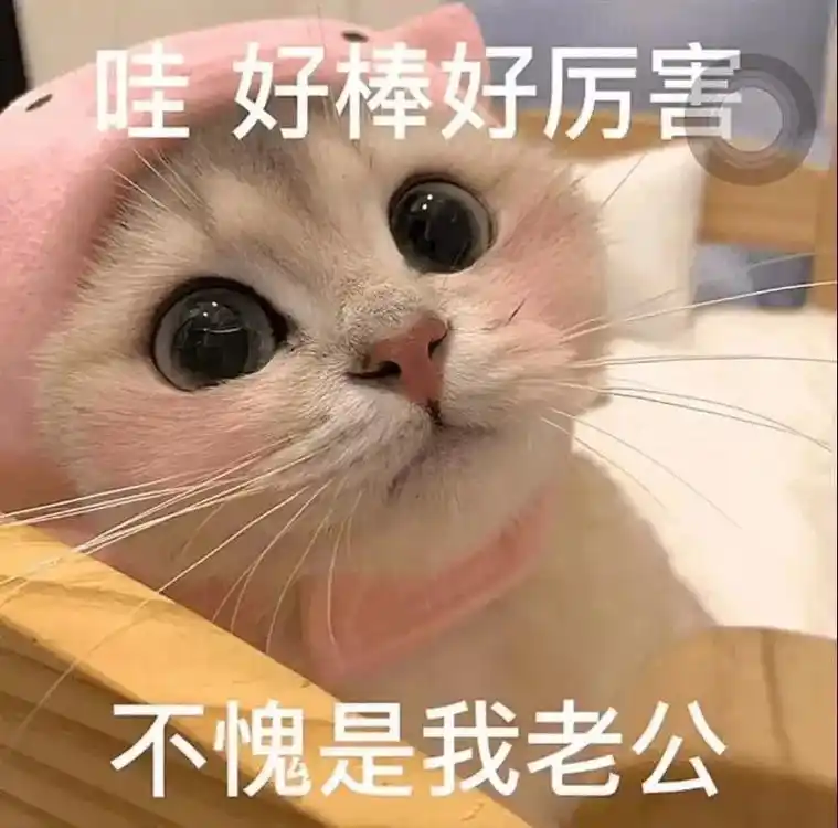 夸夸你老公#表情包 #艾特你想艾特的人 #对象 #猫咪表情包 - 抖音