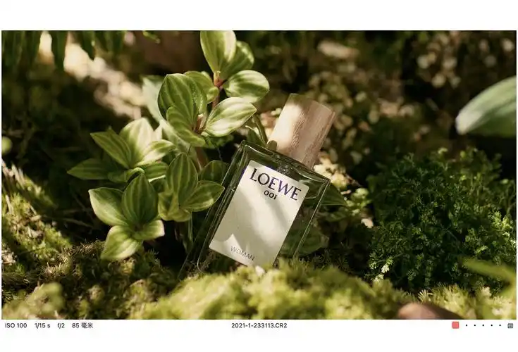 男士edt淡香水事后清晨花木香 loewe/罗意威