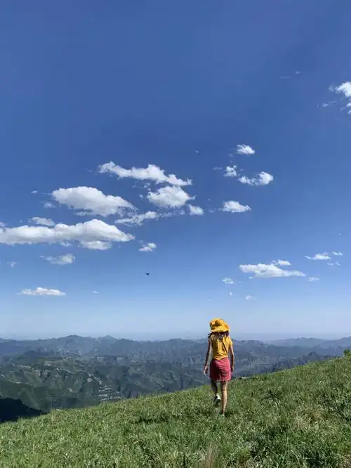 京郊出游白草畔的高山草甸