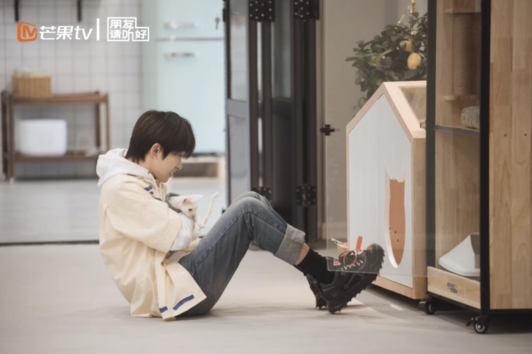 朋友请听好易烊千玺沉迷撸猫温柔环抱眼神太宠溺