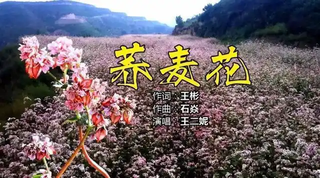 王二妮推出新歌在延安和荞麦花