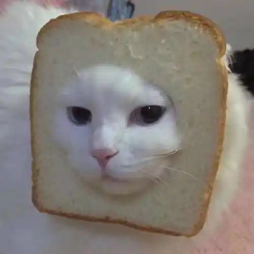 笑到窒息的沙雕头像特别沙雕一看就想笑的