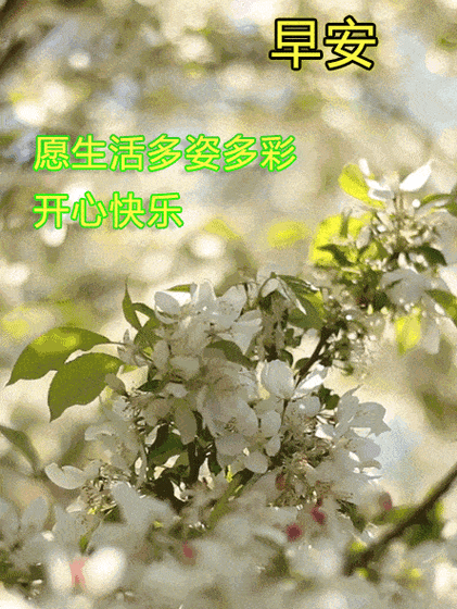 原创2021年特别好看的中老年早上好问候语表情包免打字的早安问祝福