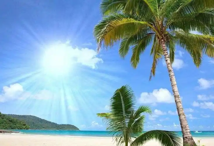 春节海南计划阳光沙滩椰树一起去海南度假