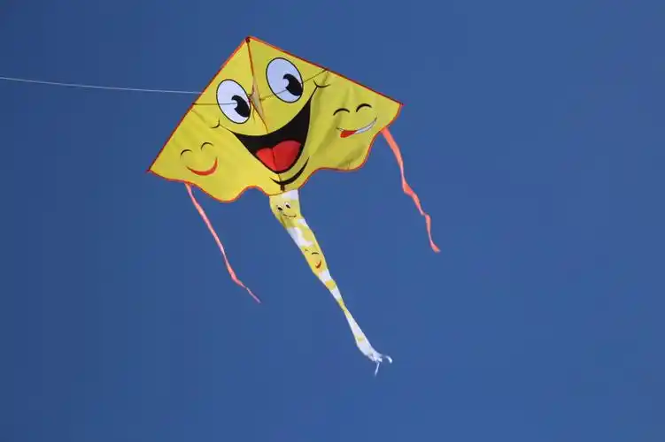 潍坊风筝新款 80cm亮布小弯边 多种图案 儿童风筝 好放飞