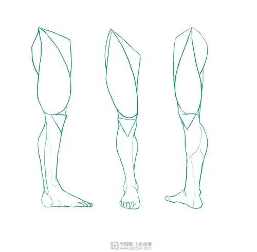 临摹腿—腿部人体肌肉结构入门训练