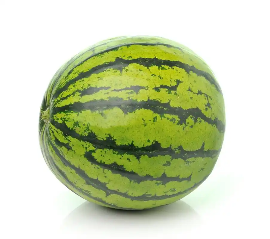 西瓜,白色背景的西瓜