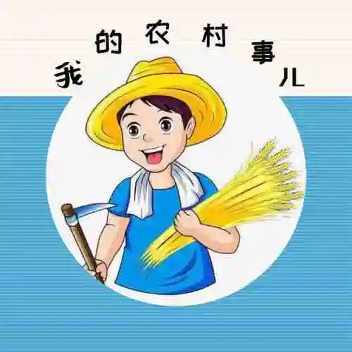 我的农村事儿头像
