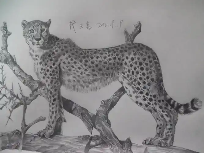 猎豹|纯艺术|绘画|捉鬼少年 - 原创作品 - 站酷 (zcool)