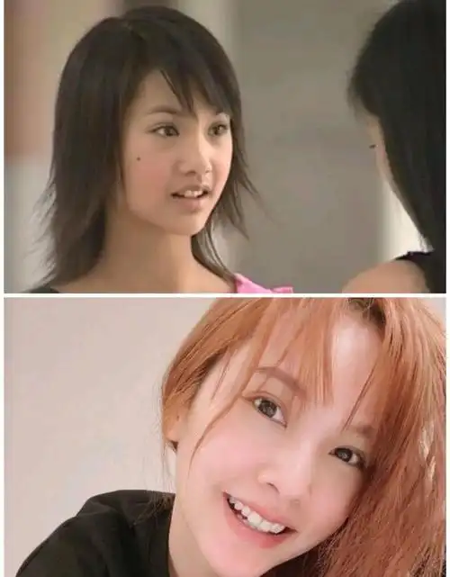 杨丞琳早期刚出道的时候算不得美,五官存在感较弱,软组织过剩,骨骼被