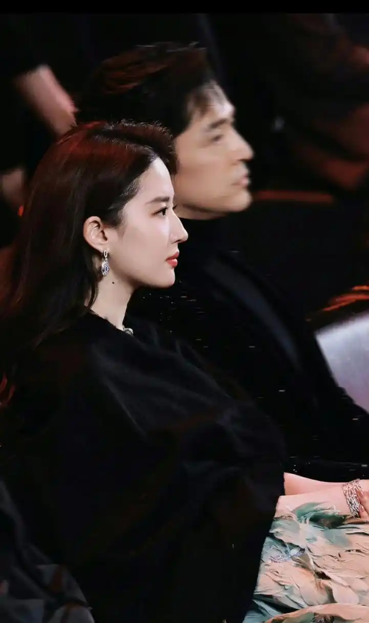 刘亦菲侧颜好美,好喜欢!