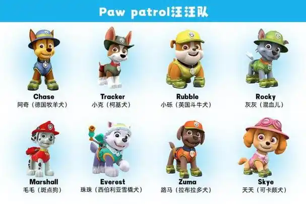 宠物小百科|汪汪队立大功!狗狗品种知多少