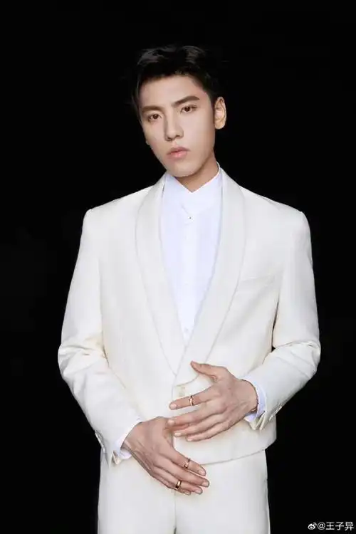 能量偶像人物志:音乐才子