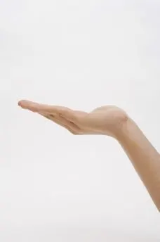 手掌 托起图片