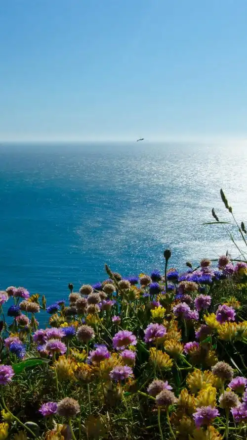 4000/512345(5人评分)所属分类:自然与风景,大海和海岸标签:威尔士