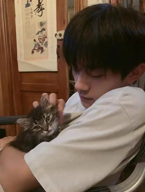 易烊千玺穿着休闲撸猫 紧紧抱在怀中抚摸表情宠溺_手机搜狐网