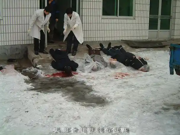 死囚枪毙全过程 - mfk800 - mfk800的博客