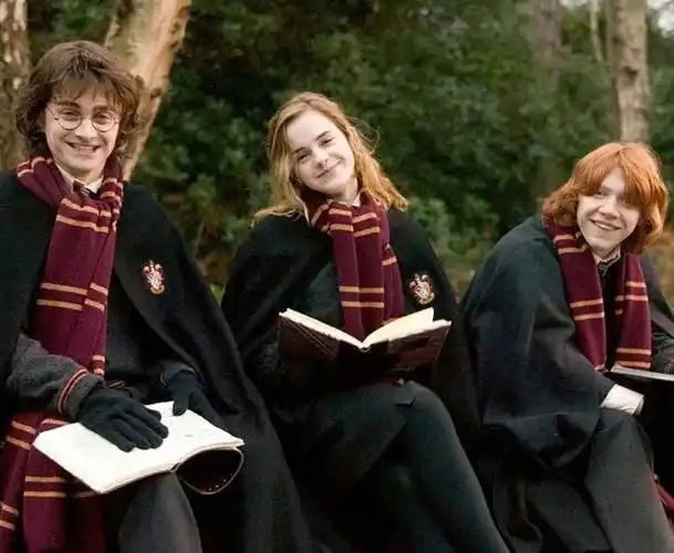 还记得"哈利·波特"系列这些回忆吗?|罗恩|赫敏|斯内普_网易订阅