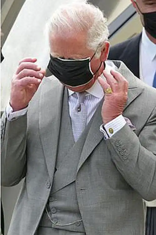 查尔斯给爱妻卡米拉戴口罩,太甜羡煞旁人,自己却"蒙住双眼"