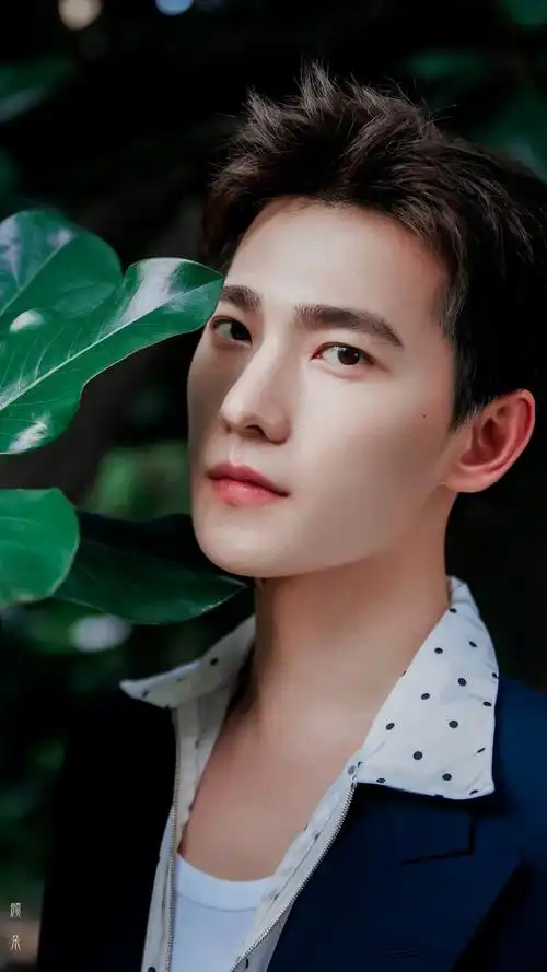 杨洋- 堆糖,美图壁纸兴趣社区