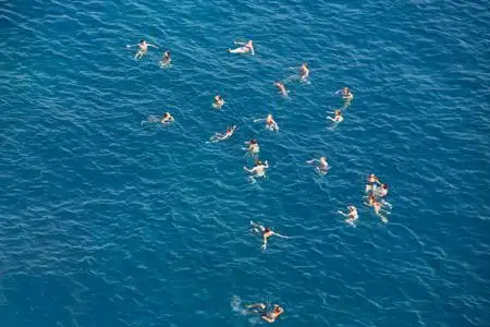 在海中游泳的人照片