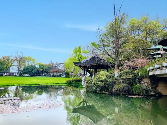 美爆了杭州西湖的春色,手机随拍