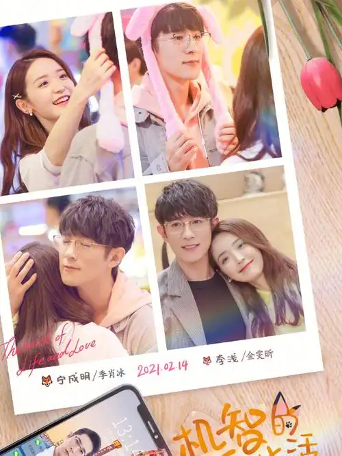 机智的恋爱生活终于熬夜看完