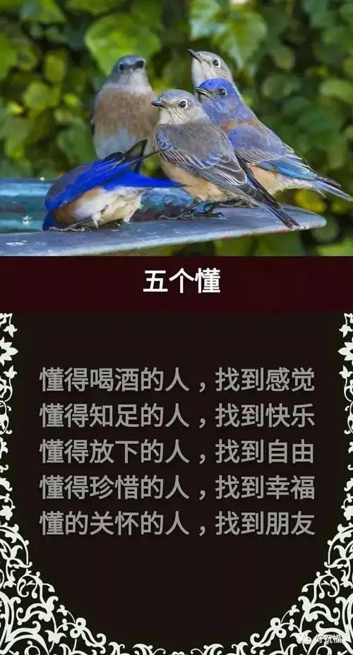 只有懂得知足才会有幸福.