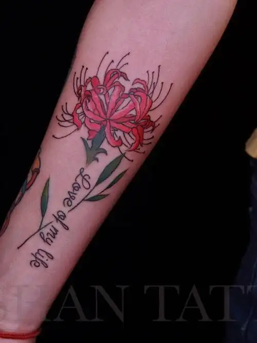 彼岸花_纹身图案手稿图片_先先的纹身作品集