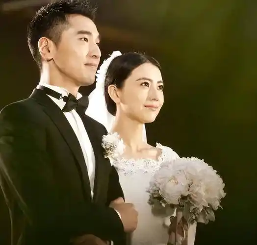 原创夫妻本是同林鸟但抱歉这一次赵又廷救不了高圆圆