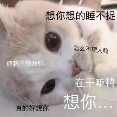 想你想你想我 表情包