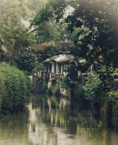 江南水乡——枫泾古镇