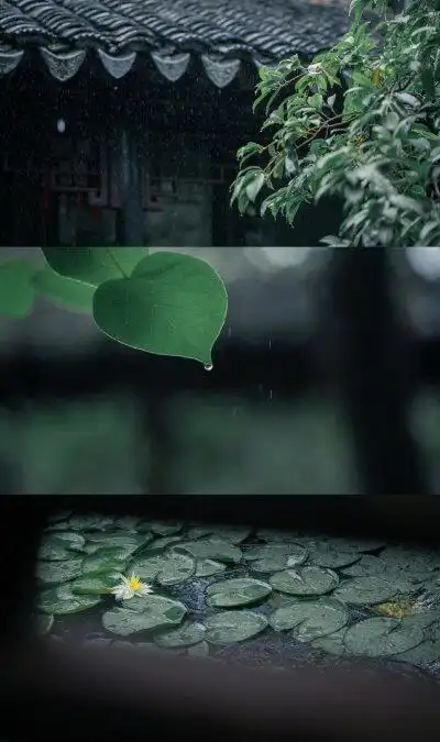 夏日雨景# (@目录设计)