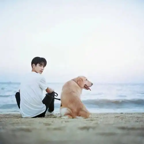 微信头像宋威龙