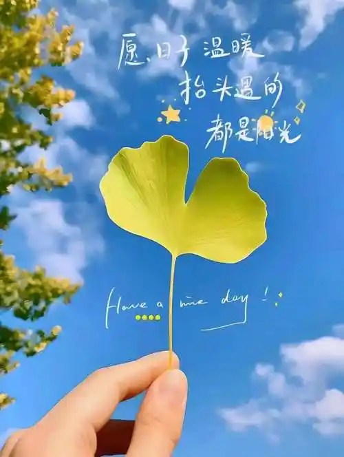 很美好的一段话