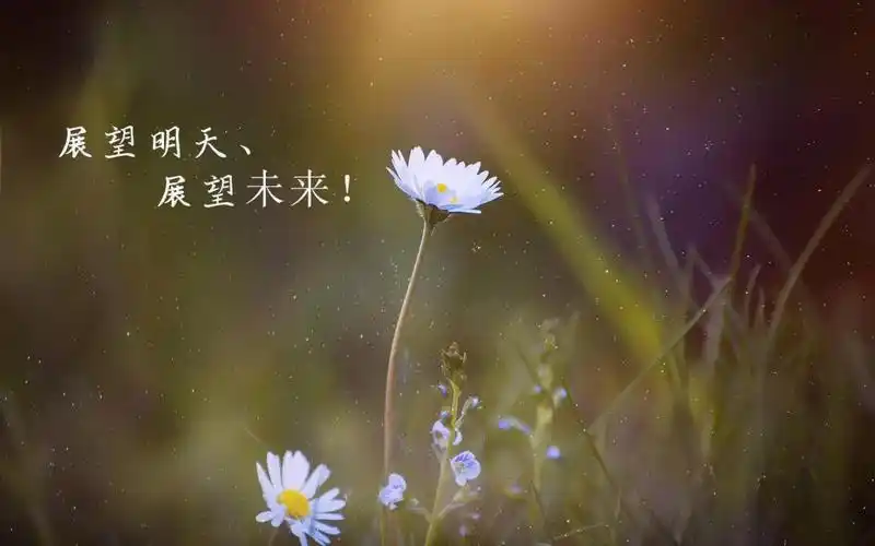 再见过去你好未来