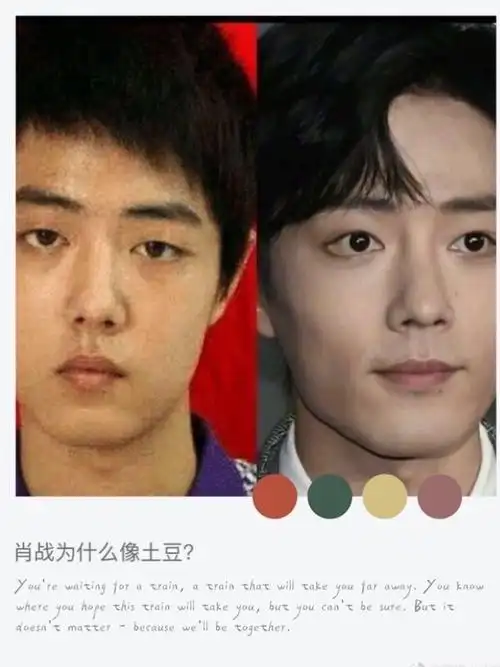 什么是"五边形脸型"呢?肖战这种就是.