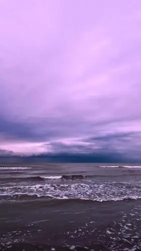 精选紫色系列壁纸