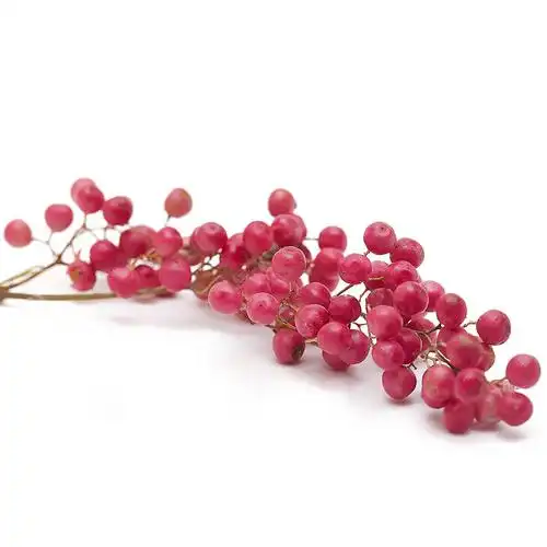 红胡椒粒pink pepper 巴西原产26g 粉红胡椒粒 素年锦味