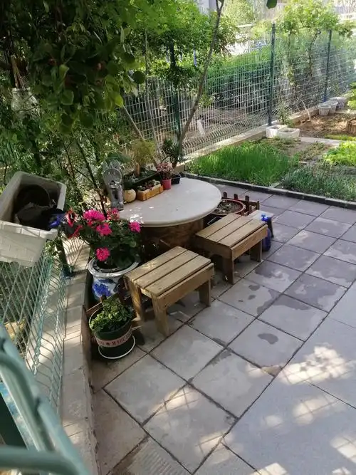 一楼邻居家的小庭院