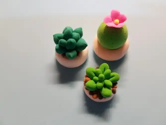黏土多肉