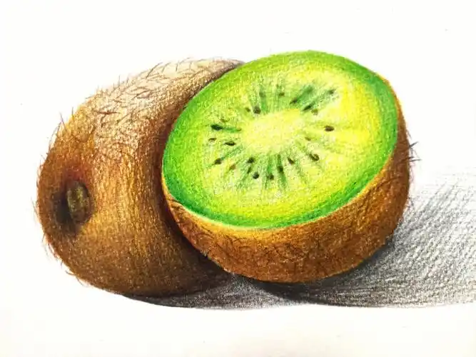 彩铅水果猕猴桃