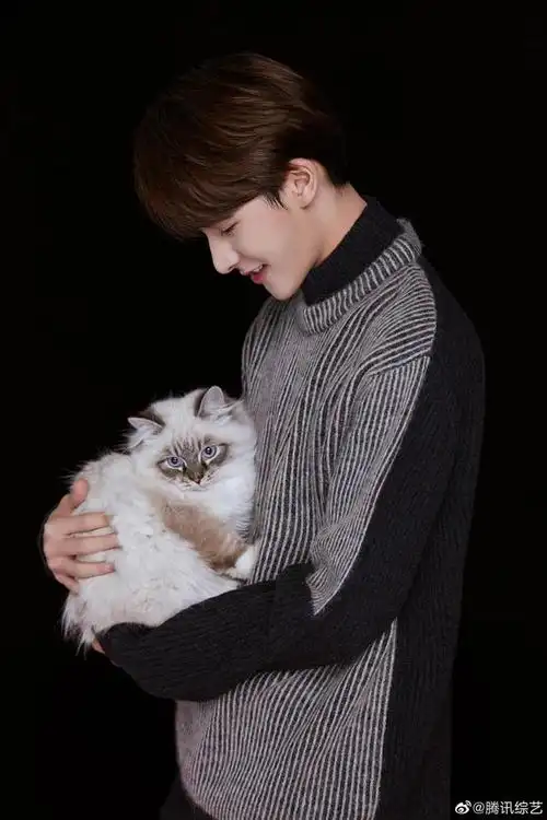 知名宠物博主@theo-朱正廷 上线有猫有狗,生活无忧