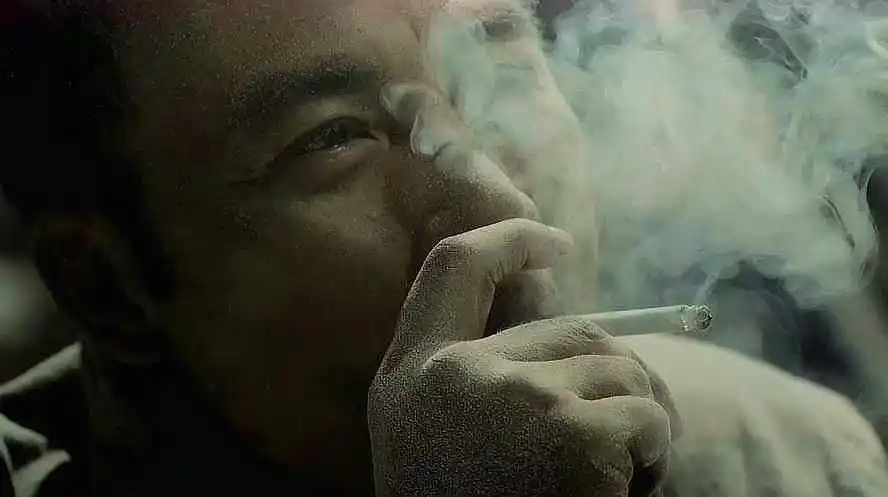 谢霆锋参演了哪些好看的电影?