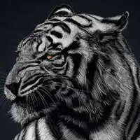 口口头像霸气头像_微信头像图片大全