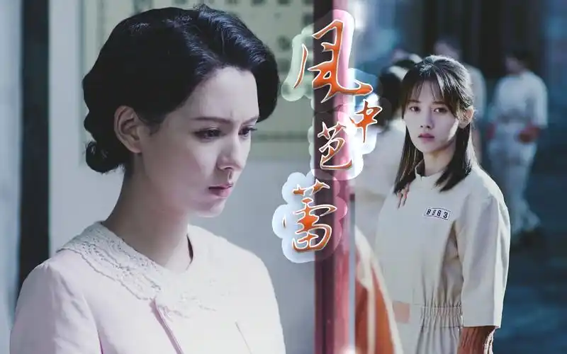 【鞠婧祎x张予曦】风中芭蕾_哔哩哔哩_bilibili