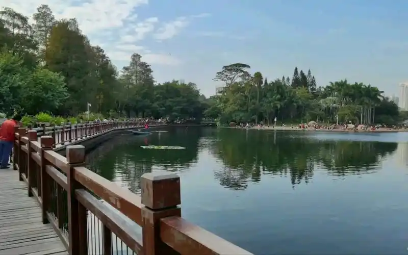 华为mate40pro实拍风景如画的深圳荔枝公园