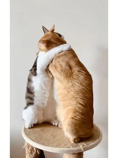 兄弟俩紧紧相拥