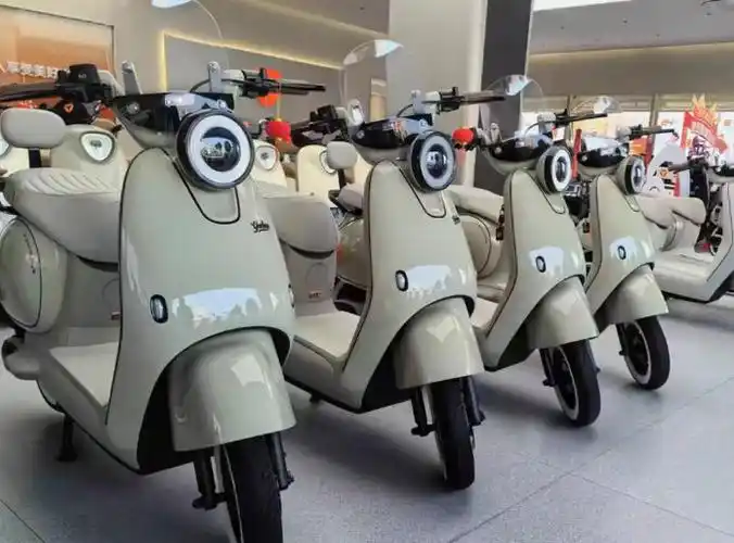 买个锂电雅迪电动车